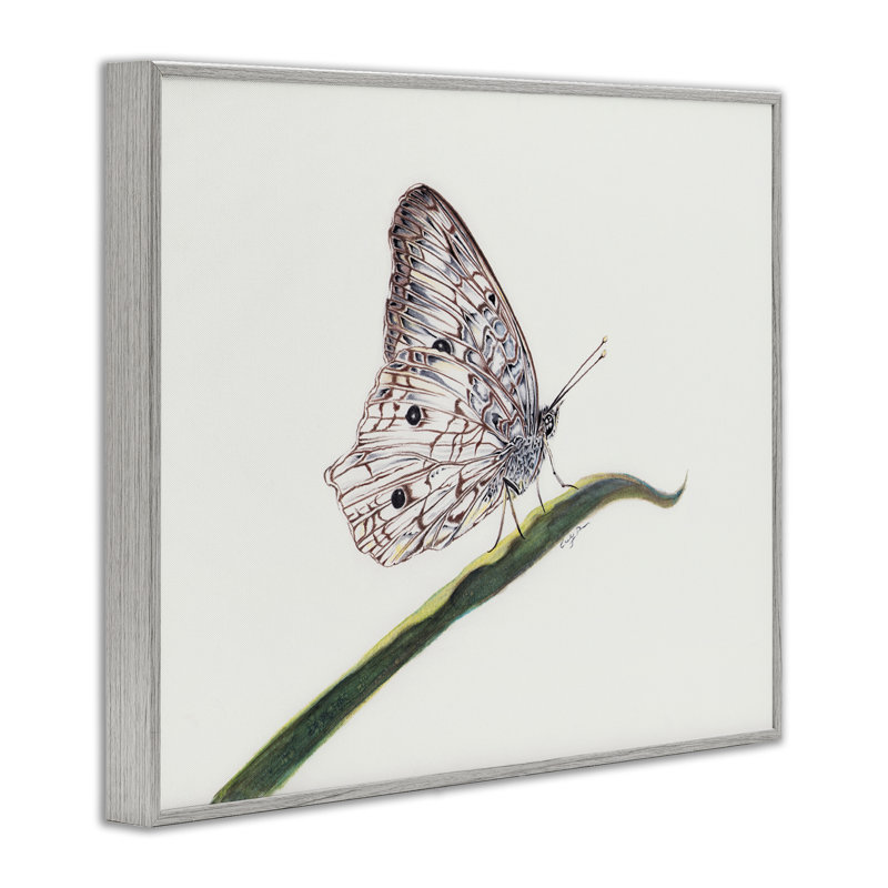 «Intricate Butterfly on Twig», giclée encadrée, design par Cady, Estampe numérique Farmhouse, H 11 po x l 14 po