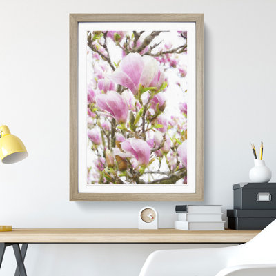 Pink Magnolia Blossom Flowers - Framed Print