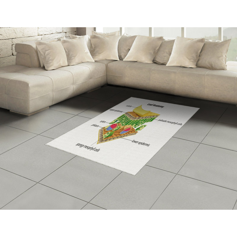 Science High Density Long Fiber Poly Threads Decorative Area Rug Carpet, Rectangle 4' x 5'8"