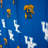 NCAA Shower Curtain-40969314