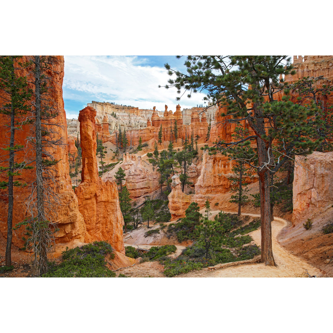 Bryce Canyon Footpath von GeorgePeters - Kunstdrucke auf Leinwand