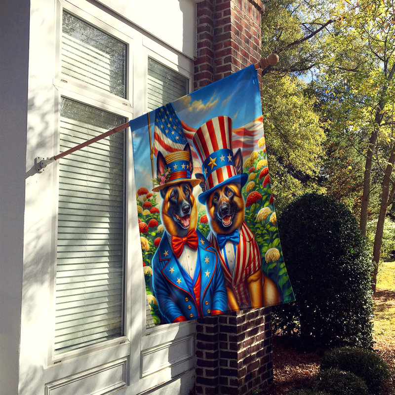 Drapeau «All American House», Malinois belge