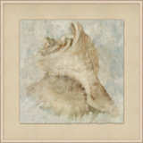 Watercolor Shell 3 Painting