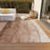Washable Ombre Indoor / Outdoor Rug