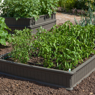 Raised Garden Bed 3-Pack (3 Beds, No Enclosure)