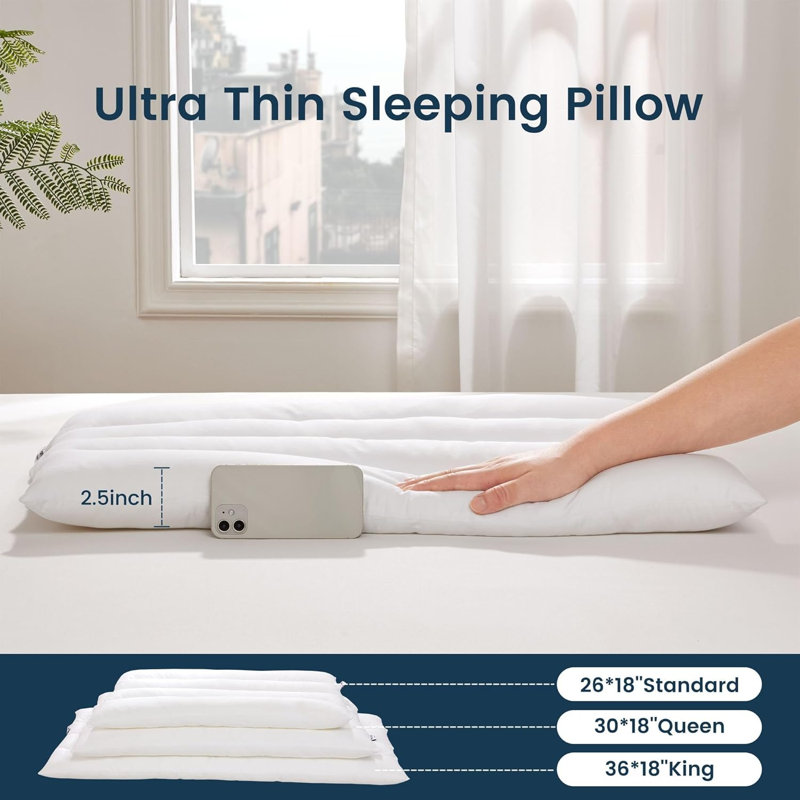 Cotton Thin Pillow, 2.5 Inch Low Flat Pillows for Deeper Sleep and Cervical Neck Alignment, Standard×2