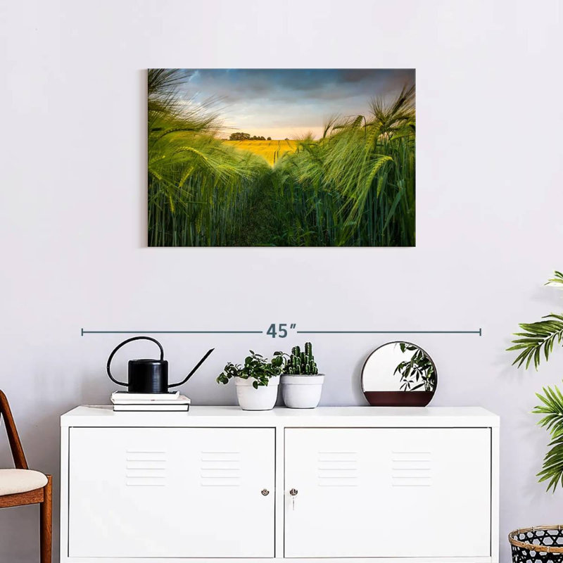Harnek Green Wheat Field