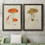 Toile encadrée de qualité supérieure Mushroom Variétés-816178479-816178449