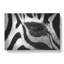 The Eye of a Zebra - Wrapped Canvas-56637669