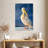 Brampt Shy Pelican-108479423