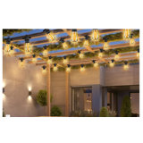 Chalie 4.5cm 32 - Bulb Globe String Light