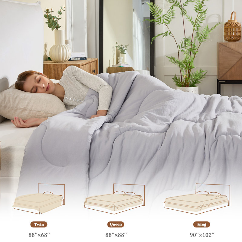Lightweight All Season Soft Down Alternative Comforter/Duvet Insert with 4 Tabs - Machine Washable, Gray, Queen