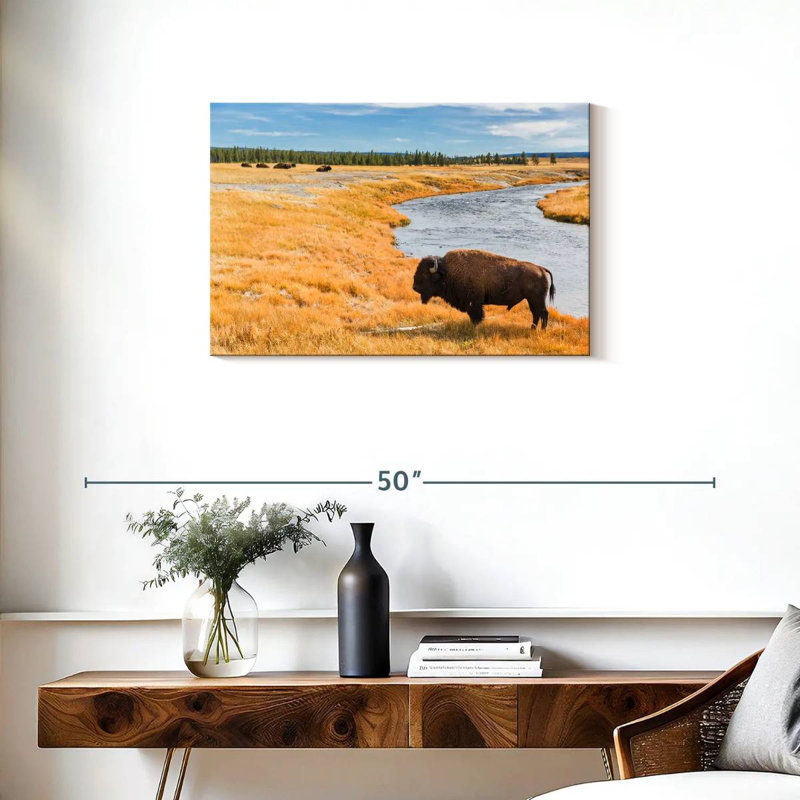 Bison du parc national Brampt, H 20 po x l 30 po
