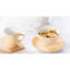 Piece Porcelain Dinnerware Set
