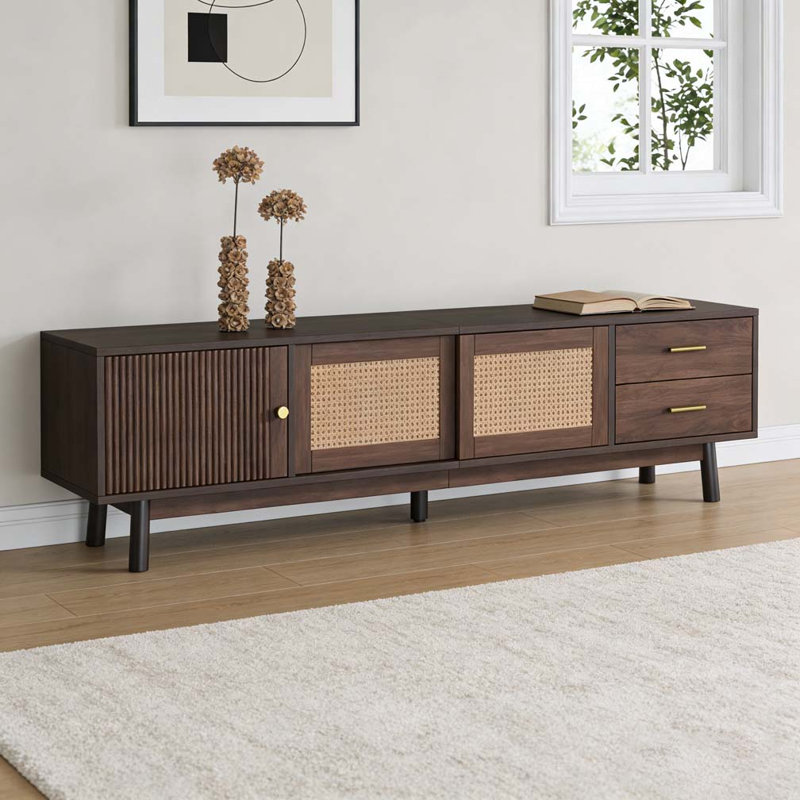 Modern TV Stand for 80" TVs