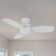 44" Deshonte 3 - Blade DC Motor Ceiling Fan with Remote Control