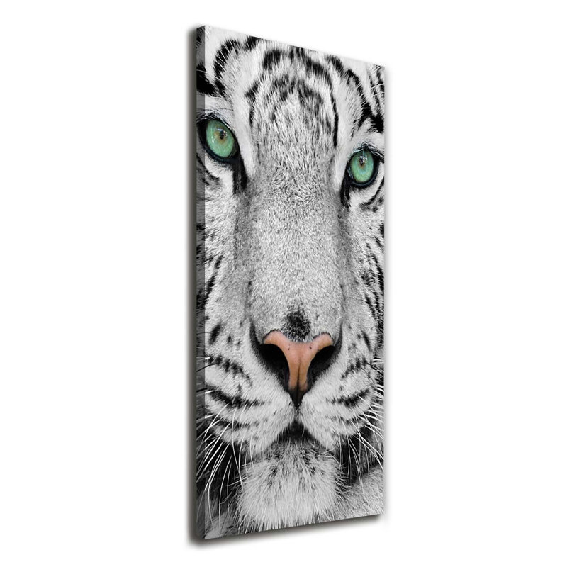 White Tiger - Wrapped Canvas Print