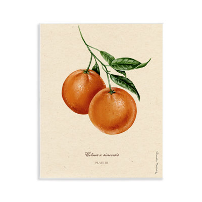 Orange Fruit Portrait Wall Plaque, design by Danielle Murray