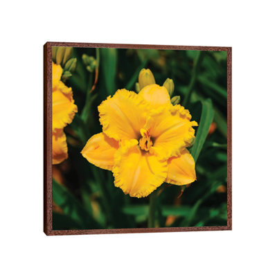 Daylily Garden VIII 1 Piece Wall Art on Canvas