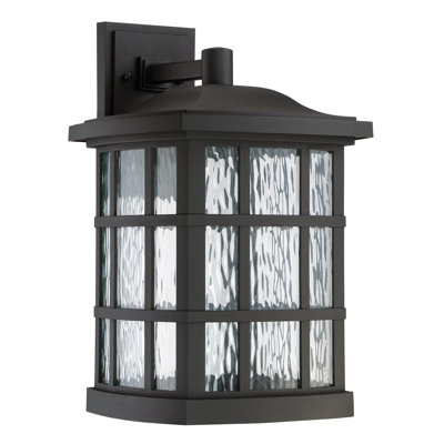 Lanterne murale d'extérieur à 1 ampoule H 17 po Akseli