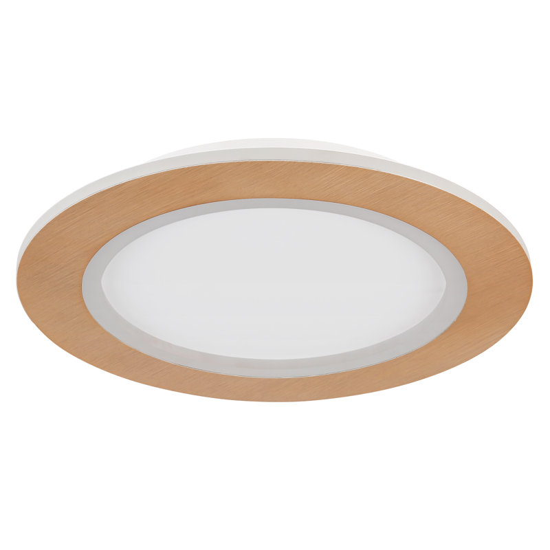 Chayil Acrylic LED Flush Mount