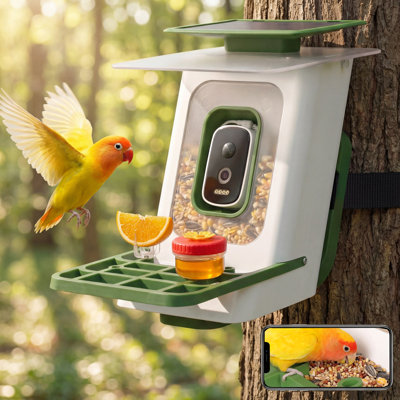 Mangeoire d'oiseaux intelligente avec caméra