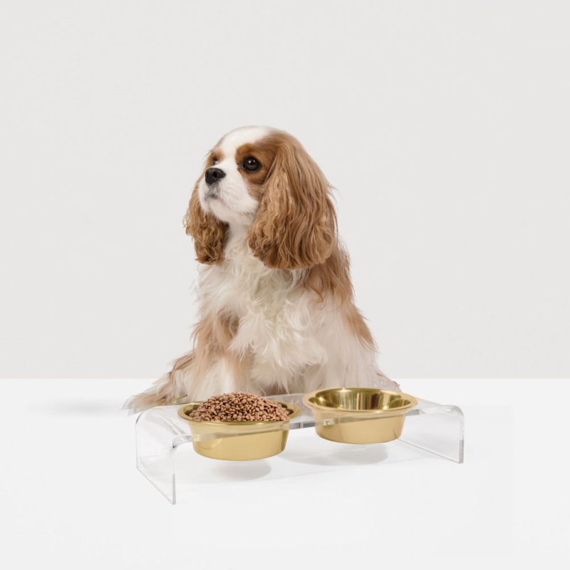 Clear Elevated Feeder with Gold Bowls, 1.5 cups
