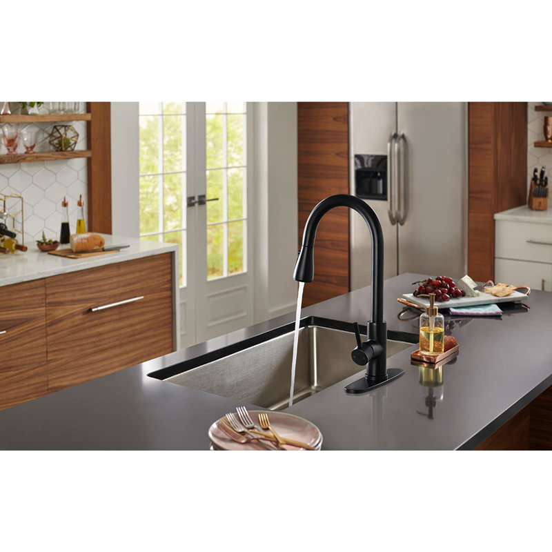 DORNBERG Pull Out Kitchen Faucet, Matte Black