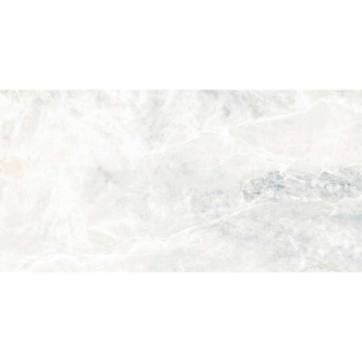 Adin 24" x 48" Marble Look Porcelain Tile