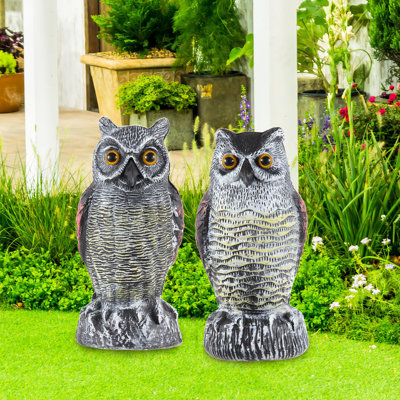 Will a Fake Owl Scare Away Birds 