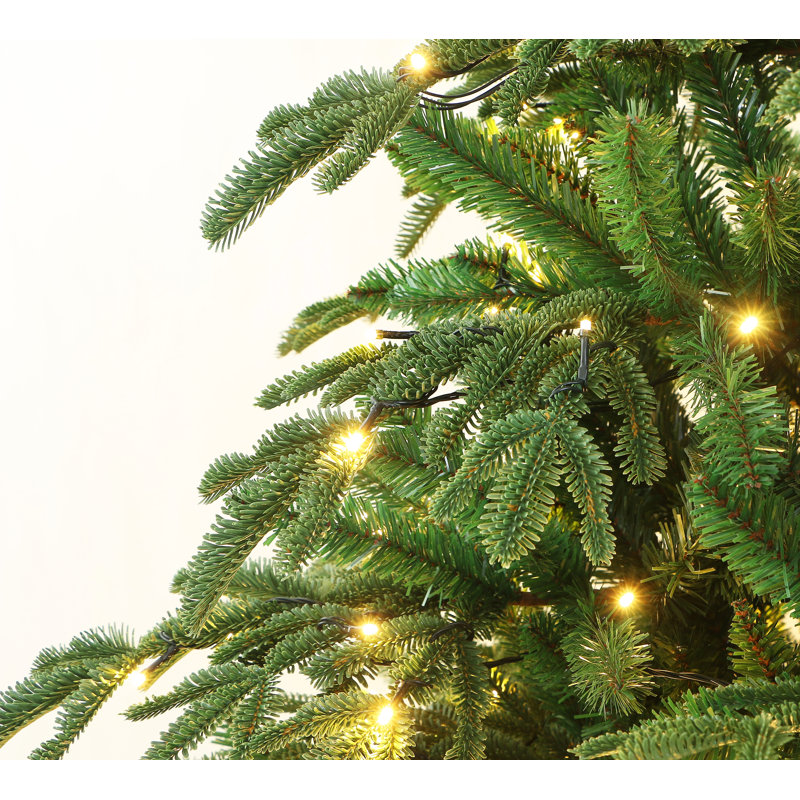 Arbre de Noël, 5'