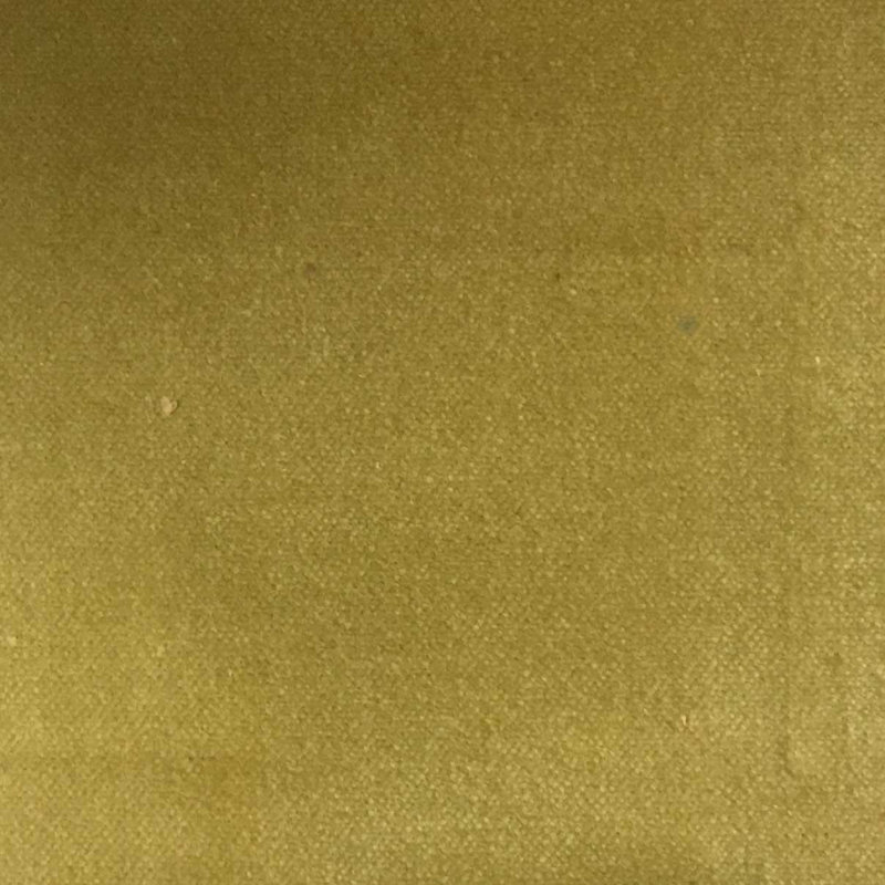 Tissu de revêtement en velours de coton Bowie-Regal, Jaune