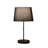 Kinch Metal USB Table Lamp