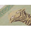 Rug & Kilim’S Distressed Tiger Rug In Green With Beige And Brown Pictorial