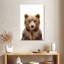 Adorable bébé ours Brampt-108361863