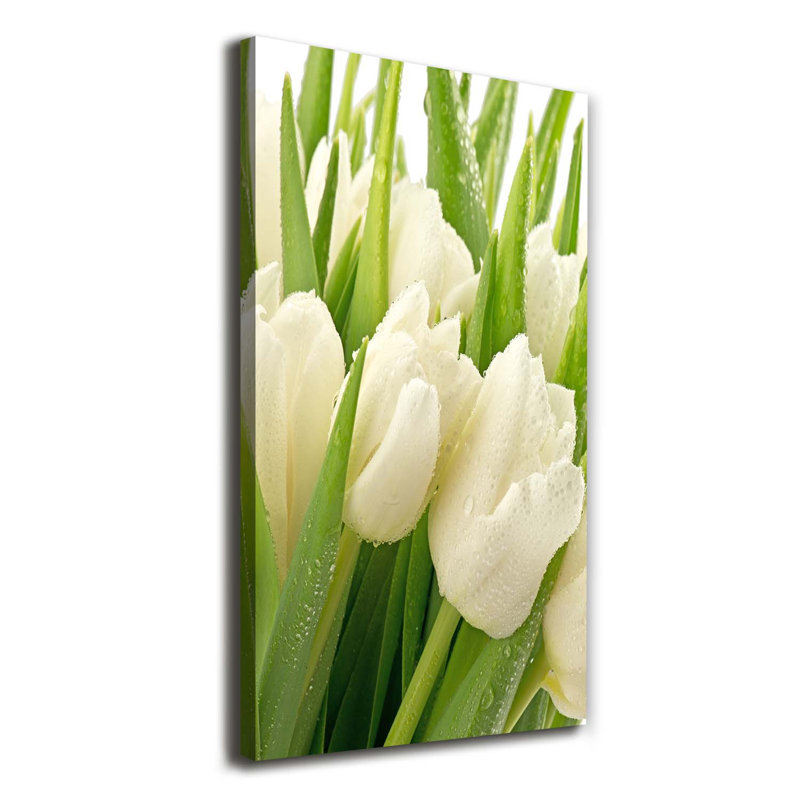 White Tulips - Wrapped Canvas Print