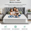Novilla 25cm Cooling Memory Foam Pocket Sprung Mattress-94341983