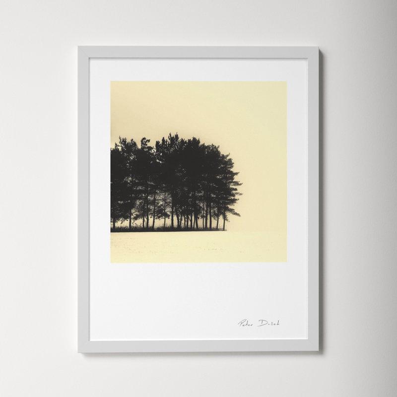 Copse by Peter Dušek, White, 38" H x 30" W x 1.25" D