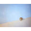 Seashell By The Seashore Print by Scott Norris-65824930-65849126