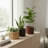 Round Strata Planter MD - Dark Brown-1341160707-1341160706
