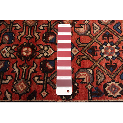 Andelz  Red Rug 3'8" x 11'1"