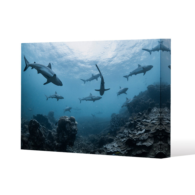 No Title by Andrew Lee - Wrapped Canvas Print