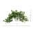 Trailing Ivy in Ribbed Vase