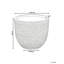 Pot Planter-923022648