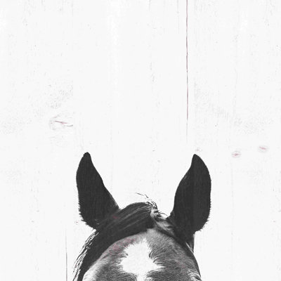 " Horse Ears " Painting Print