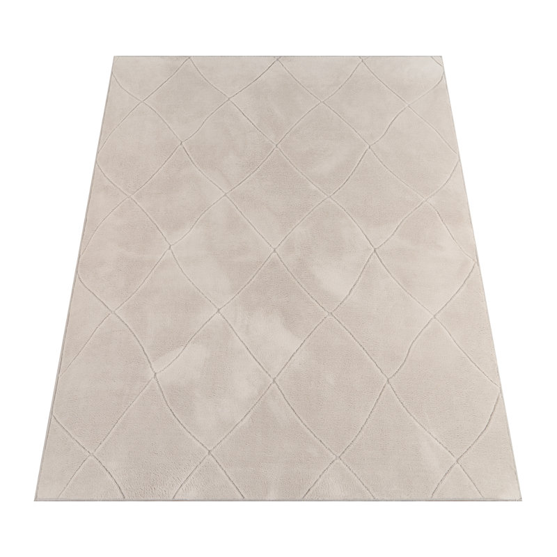 Ishpeming Solid Colour Area Rug, Rectangular 60 x 100cm