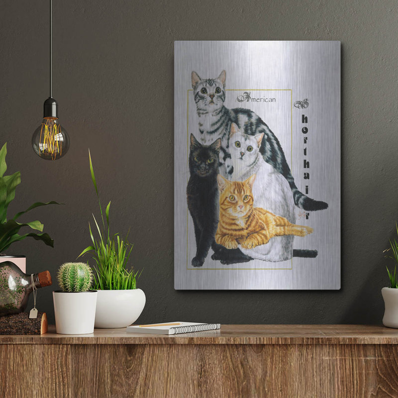 «American Shorthair» par Barbara Keith, H 16 po x l 12 po