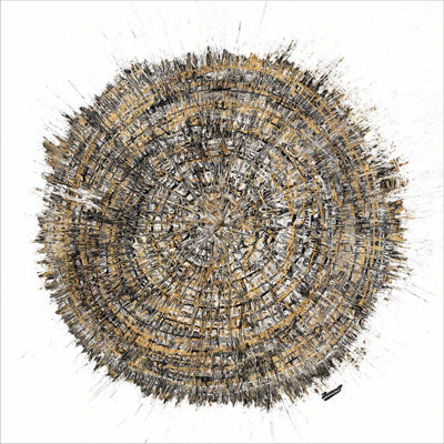 «Mysterious Tree Ring» par Roberto Gonzalez, art mural sur toile