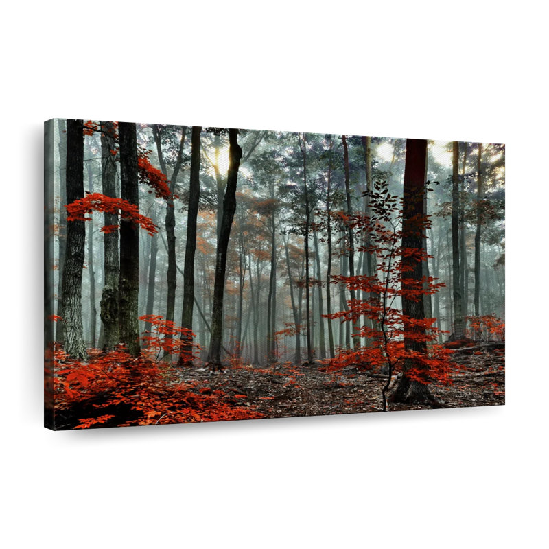 Silent Forest Canvas Print, 8'' W x 12'' H