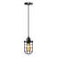 1 - Light Black Caged Pendant-958586954